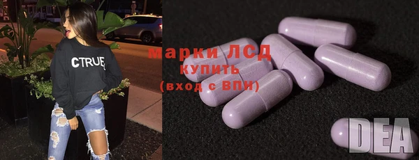 тгк Каменногорск