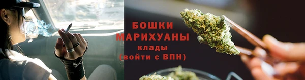 тгк Каменногорск