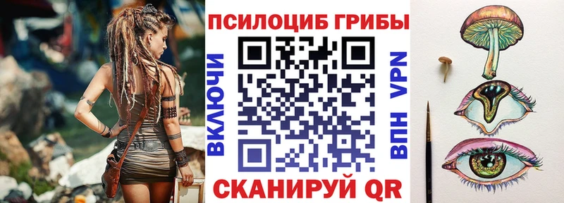 Купить Лобня Псилоцибиновые грибы Psilocybe