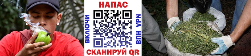 Купить где Лобня Марихуана ГИДРОПОН